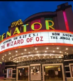 The Senator Theatre
